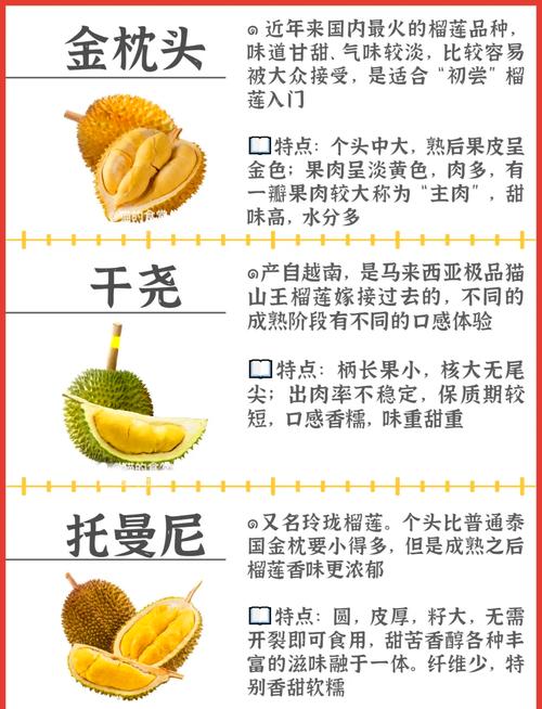 梦见榴莲的5个心理象征解析专家解读与长尾效应