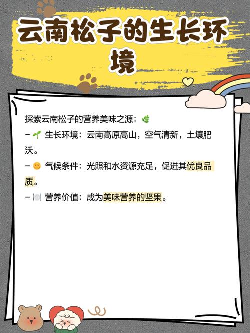 解密梦见松子的深层含义，提升生活幸福感