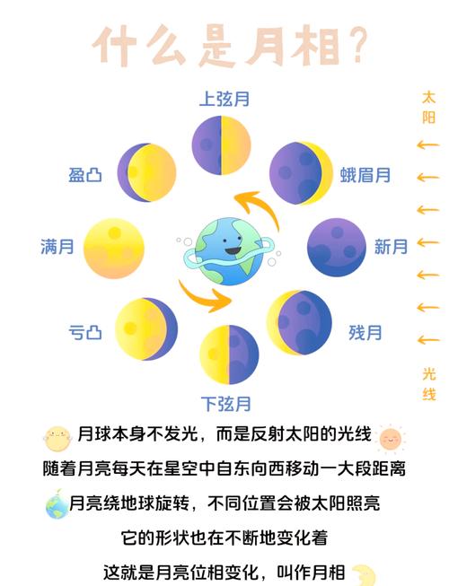梦见月亮忽然掉下来的解读深度解析 vs 常见误区