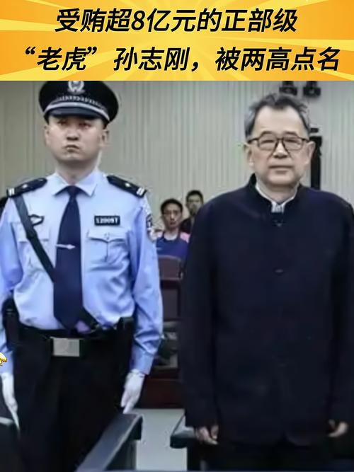 正部级‘老虎’受贿超8亿！你知道两高如何点名批评吗？