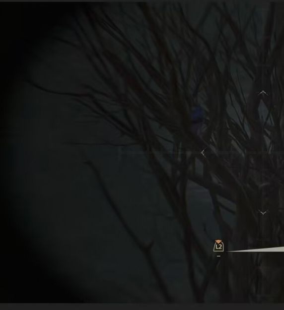 怪物猎人荒野：高效收集泡歌鸮与美声歌鸮攻略