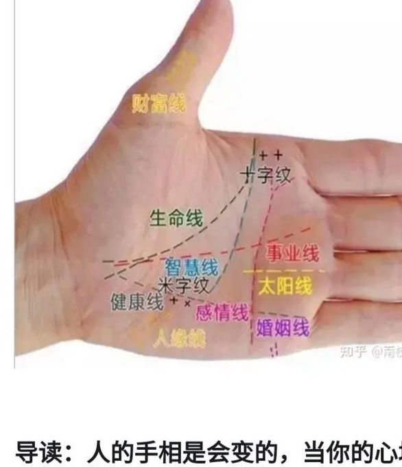 梦见看手相解析心理暗示 vs 现实启示，如何解读？