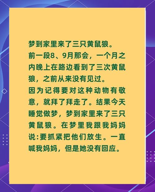 梦见黄鼠狼象征哪些?解读梦境背后的心理暗示和意义 梦见黄鼠狼象征哪些?解读梦境背后的心理暗示和意义