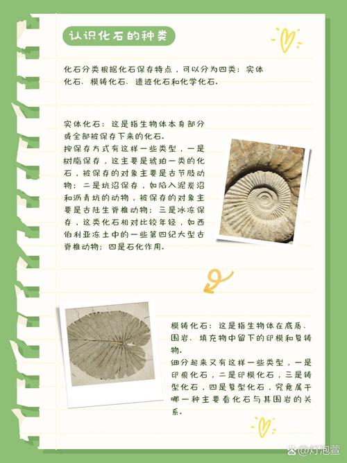 梦见化石寓意揭示如何解读梦境中的远古遗迹？