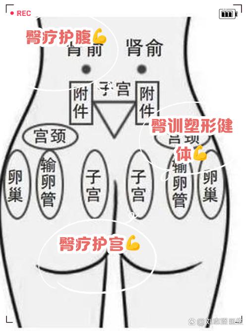 梦见臀部象征哪些?解读心理奥秘与人生启示 梦见臀部象征哪些?解读心理奥秘与人生启示