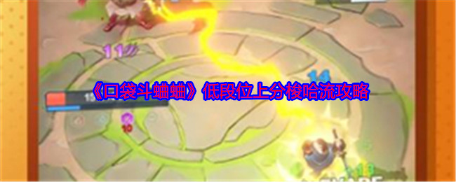 为什么梭哈流是口袋斗蛐蛐低段位上分的最佳选择？探索策略赢得胜利！