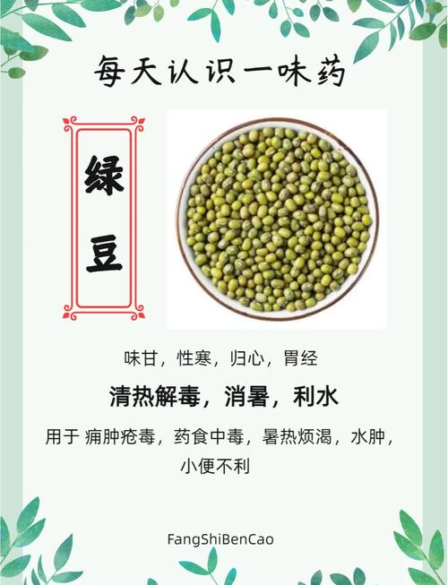 梦见绿豆意味着哪些？揭秘其象征意义及高效解决方案