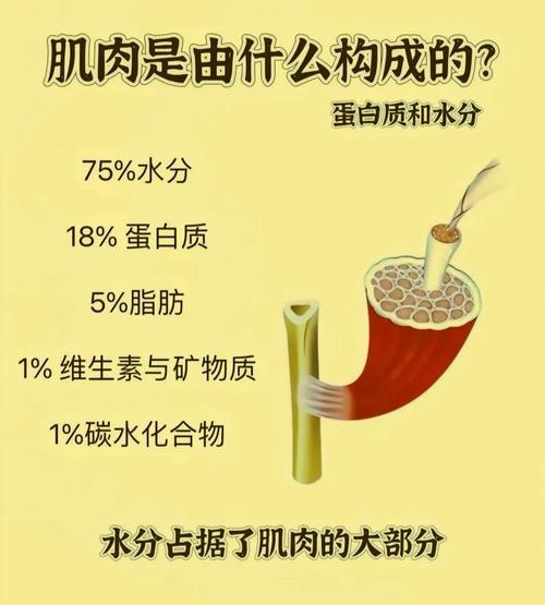 梦见肌肉象征解析揭示内心力量与潜力的深度分析 梦见肌肉象征解析揭示内心力量与潜力的深度分析