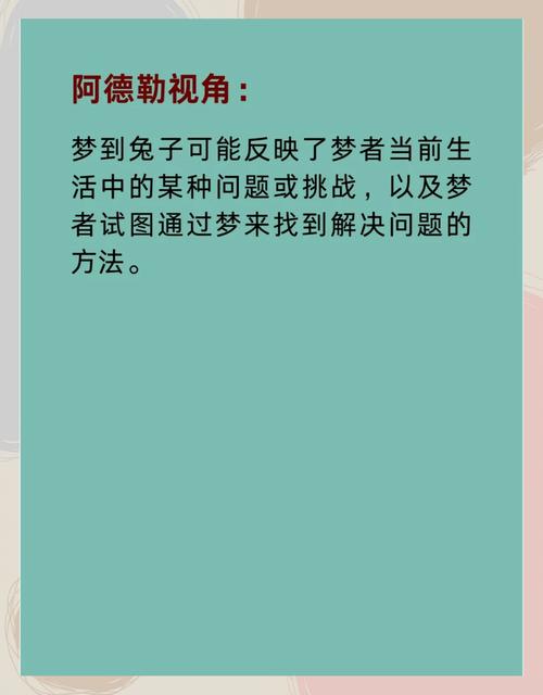 梦见兔子跑进屋暗示哪些？解读梦境背后的深层意义与影响！