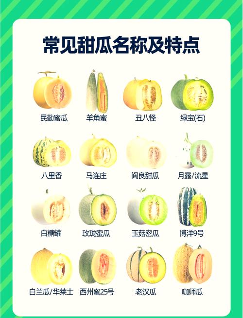 梦见甜瓜预示哪些？解读你的梦境象征与内心渴望