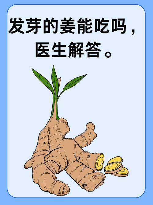 梦见生姜象征潜在健康变化解析梦境的深层含义与心理暗示