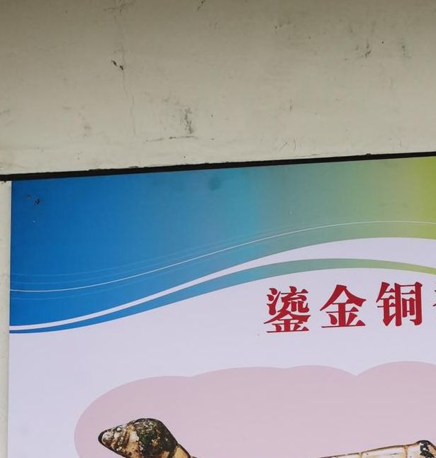 梦见蚕箔寓意揭晓这些象征意义你知道吗？