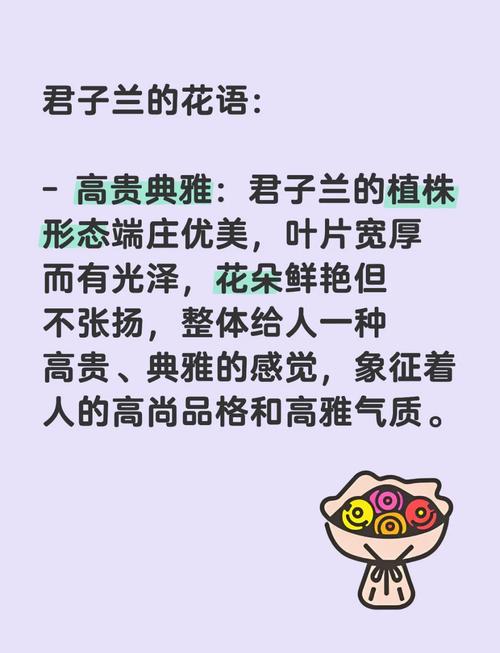 梦见君子兰的5种积极寓意及其象征意义解析