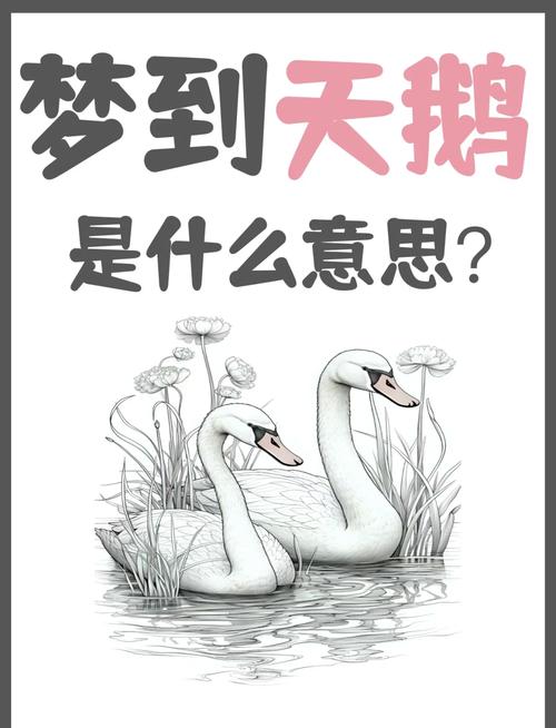 梦见天鹅游荡湖面解读象征意义与人生启示 梦见天鹅游荡湖面解读象征意义与人生启示