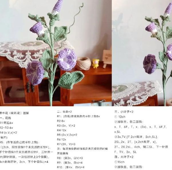 梦见牵牛花开寓意详解获取好运的秘密与技巧