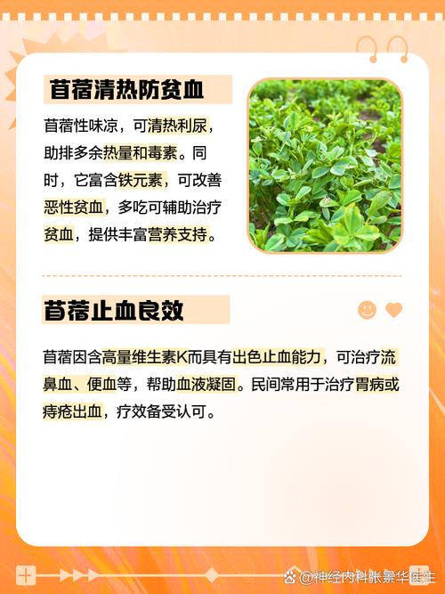 解读梦见苜蓿的象征意义,掌握好运人生策略指南 解读梦见苜蓿的象征意义,掌握好运人生策略指南