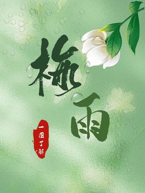 梦见细丝绵绵的梅雨意味着哪些？解梦专家给你答案！