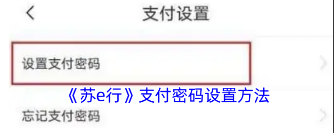 如何在苏e行轻松设置支付密码？详细攻略在此！