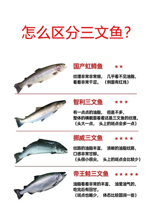 揭秘梦见鳟鱼的5大象征意义让你的生活更幸福
