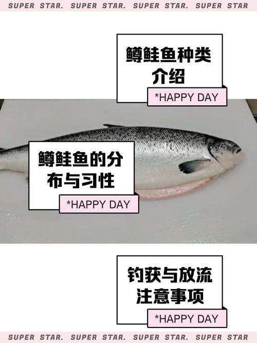 揭秘梦见鳟鱼的5大象征意义让你的生活更幸福