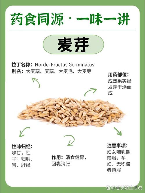 梦见麦芽解读其象征意义及高效应对方法