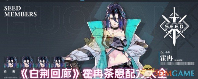 手游攻略：霍冉茶憩配方揭秘 | 高效解决方案与核心技巧解析
