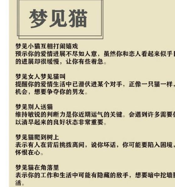 解梦野猫象征意义的5个心理分析与启示 解梦野猫象征意义的5个心理分析与启示