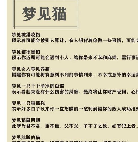 解梦野猫象征意义的5个心理分析与启示 解梦野猫象征意义的5个心理分析与启示