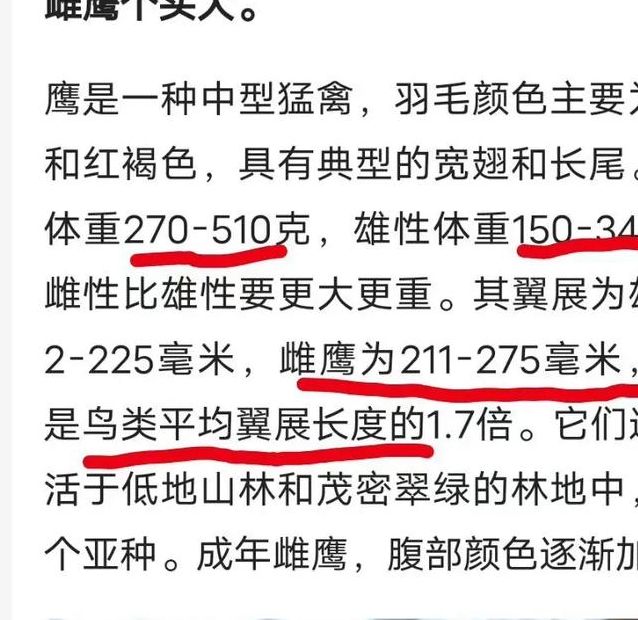 解析梦见猎鹰的5种解释，提高心理认知