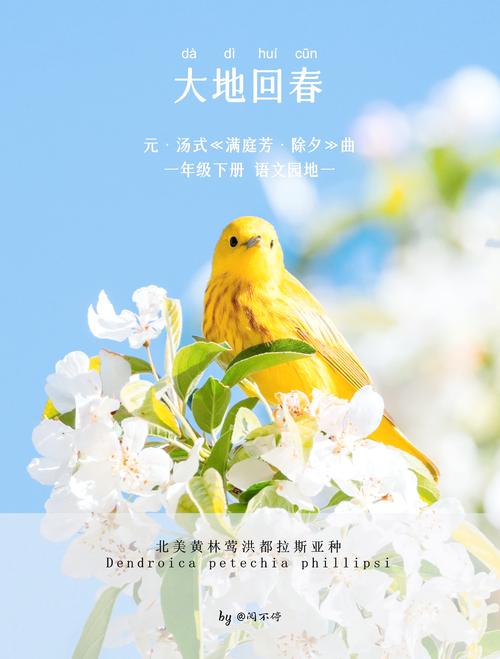 梦见春天场景寓意解析为何预示美好转机？