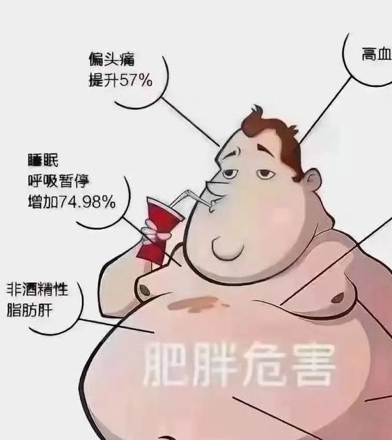 梦见胖子象征哪些？了解梦境背后的心理暗示和生活启示