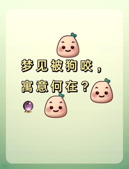 梦见狗咬人象征哪些?解析梦境与心理暗示的关联 梦见狗咬人象征哪些?解析梦境与心理暗示的关联
