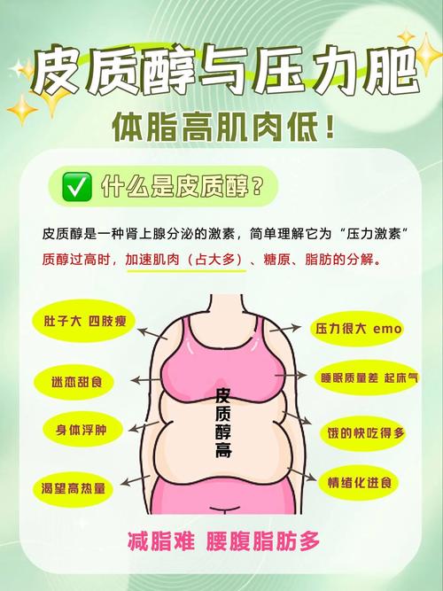梦见肚皮深层解读，心理解析揭示内心情感变化与潜在自我探索！
