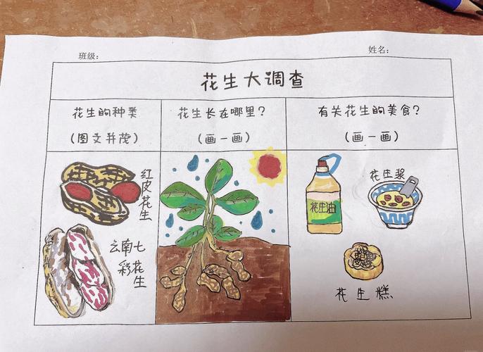 揭秘梦见种花生背后的6大含义专家解析与心理探索