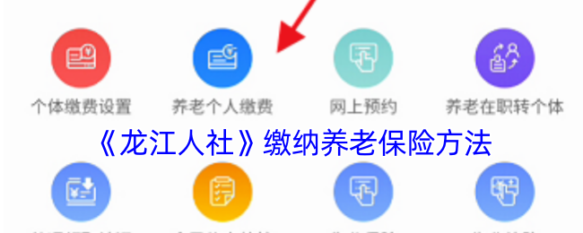 如何高效缴纳龙江人社养老保险？掌握这些实用步骤，轻松解惑！