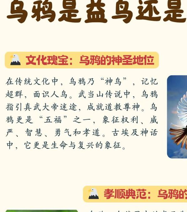 梦见乌鸦象征意义解读心理暗示与现实启示对比分析