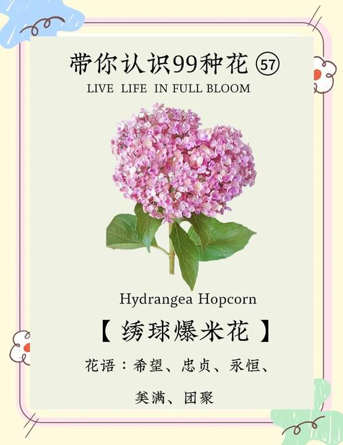 梦见爆米花象征着哪些?揭示隐藏的心理暗示与未来启示详解 梦见爆米花象征着哪些?揭示隐藏的心理暗示与未来启示详解