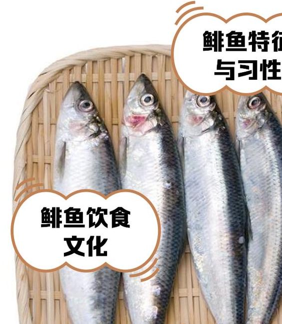 梦见鲱鱼象征解析好运预兆与潜在挑战大对比 梦见鲱鱼象征解析好运预兆与潜在挑战大对比