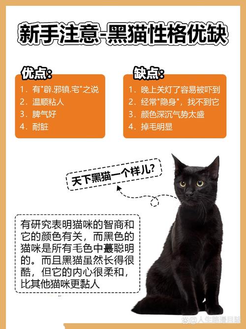 梦见浑身是血的黑猫心理暗示 vs 现实解读，哪种更贴近你？