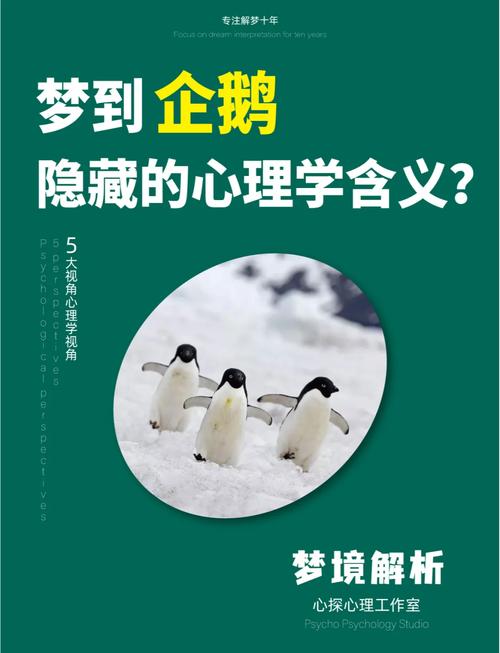 梦见企鹅解析神秘象征与心理探秘，网友评论引发共鸣！