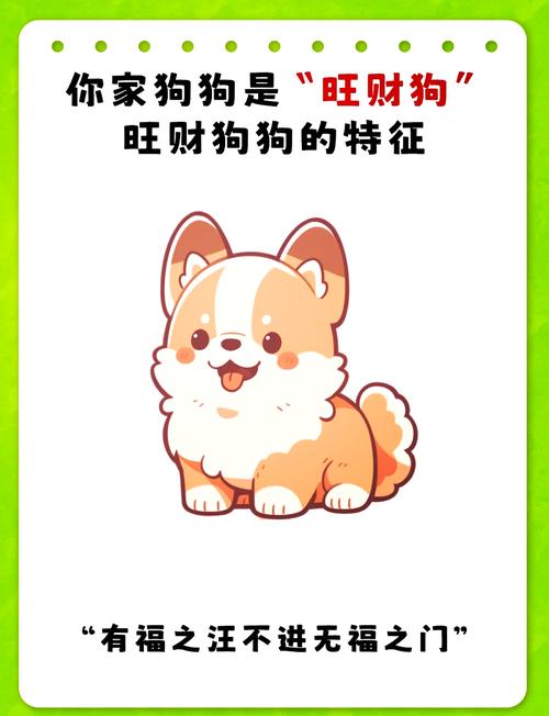 梦见白色狗的解析解锁心理暗示与好运提升技巧
