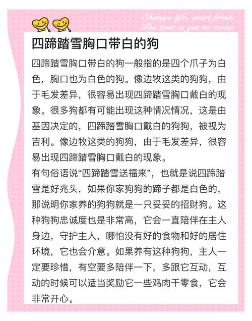 梦见白色狗的解析解锁心理暗示与好运提升技巧