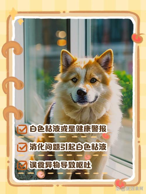 梦见白色狗的解析解锁心理暗示与好运提升技巧