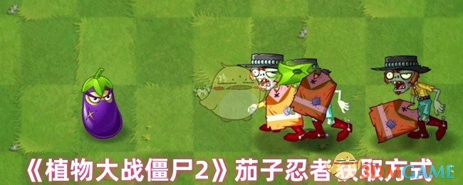 如何快速获取植物大战僵尸2茄子忍者？攻略揭秘！