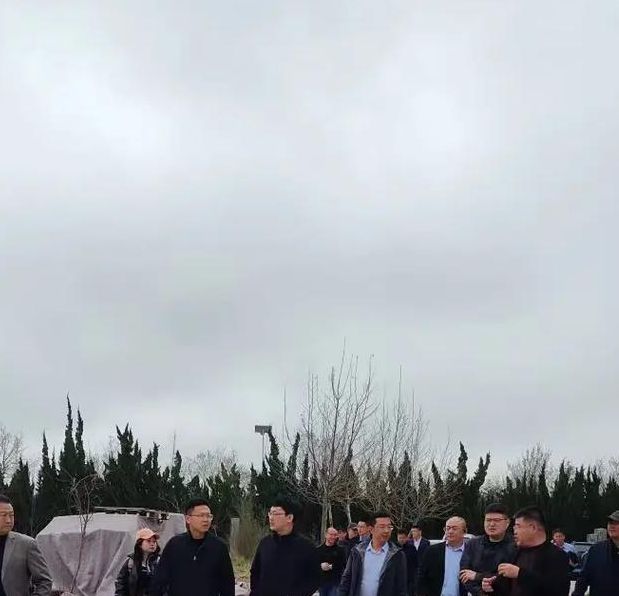 海阳市住建局3月7日工作揭秘：背后的故事和成就