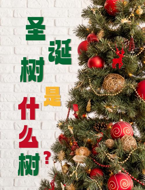 梦见圣诞树预示哪些？解密背后隐藏的心理象征！