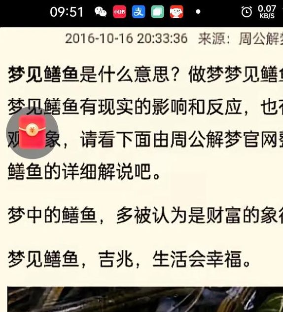 梦见河里抓鱼暗示哪些？心理专家解析背后深意