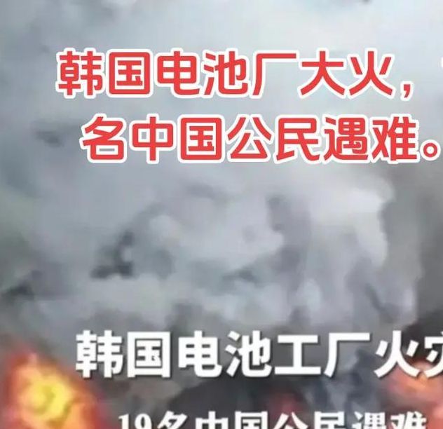 韩国动力电池行业为何遭遇需求寒冬？背后的真相令人惊讶！