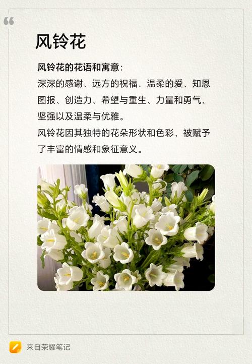 梦见风铃暗示了哪些？探索梦境中的心理意义与生活启示