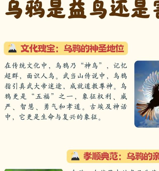 解密梦见乌鸦的寓意它是否预示着意外之财？